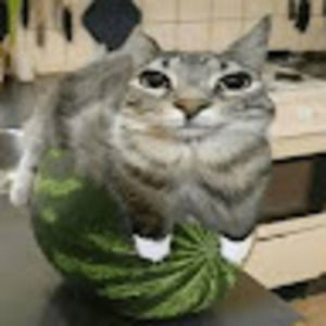 Meet your Posher, Aldennis